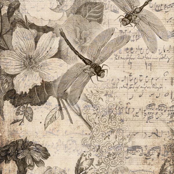 Musical Dragon flies