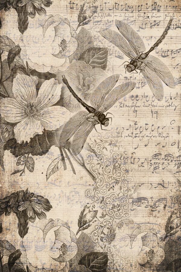 Musical Dragon flies