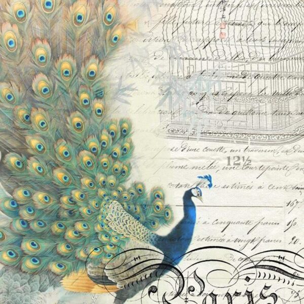 Peacock Ephemera Left