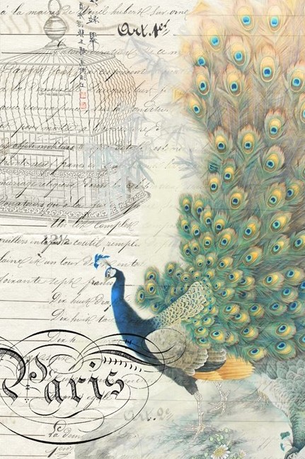 Peacock Ephemera - right