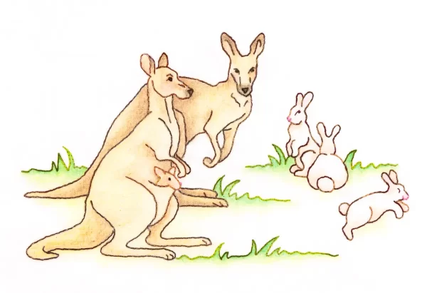 Noah's Journey #2 - Kangaroos and Rabbits