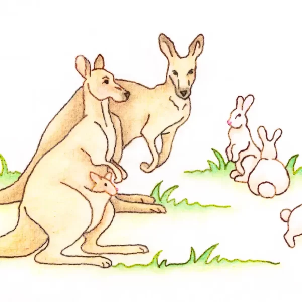 Noah's Journey #2 - Kangaroos and Rabbits